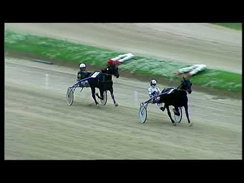 Napoli Trotto 05/11/2021 - prova di qualifica