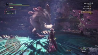 モンハです