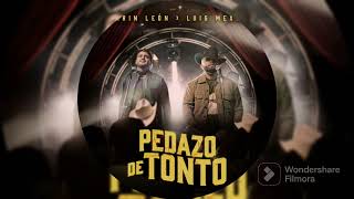 Pedazo De Tonto - Carin León ft. Luis Mexia (audio Oficial)