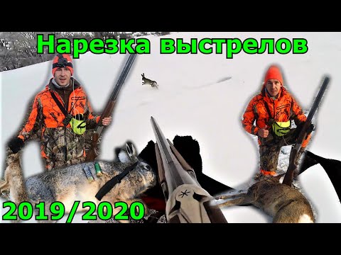 УДАЧНЫЕ ВЫСТРЕЛЫ охотничьего сезона 2019-2020/Нарезка TOP-10 Best Hunting Moments /Удачная охота #10