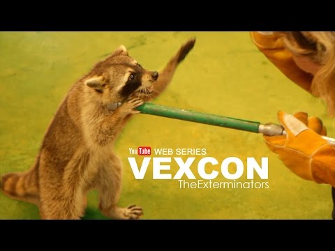 Vexcon The Exterminators - Web Series (Episode 2: Racoon Attack)