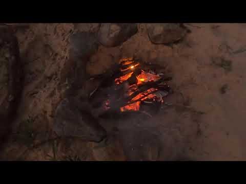 Mega Kanu Tour auf der Elbe