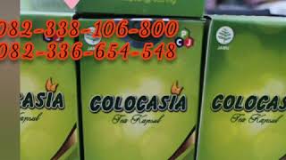 Download lagu Colocasia tea kapsul || Colocasia asli 082338106800 Colocasia obat nyeri sendi mp3