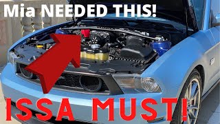 2011-14 Mustang STEEDA Strut Tower Brace INSTALL/REVIEW | For Supercharged Applications!