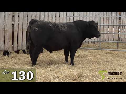 Lot 130 - Twisted T 2020.mp4
