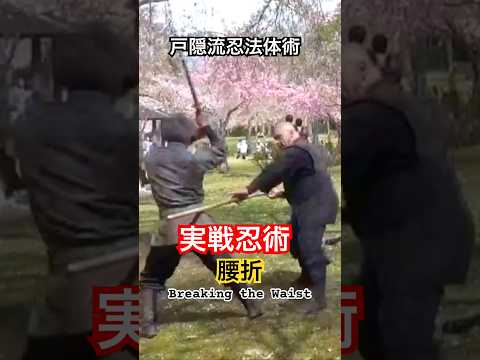 実戦忍術 戸隠流忍法体術 半棒術 腰折 Breaking the Waist