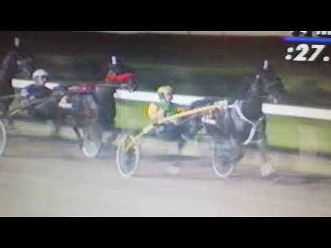 Three Wizards,,Bill  Gale,,Breeders Crown 3rd C&G.