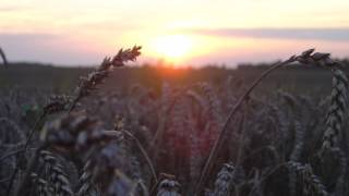 Junkie XL - Such A Tease