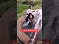 Sexy Girl Take Bath Girl Shorts Shorts Viral Dancevideo Shortsvideo Subscribe