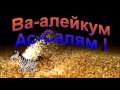 Ва алейкум Ас Салям ! 2 