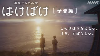 [晨間] 晨間劇 怪談作家之妻 ばけばけ 節目介紹