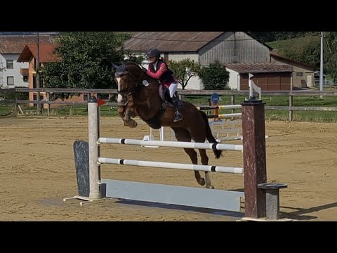 Malu (12) und Zappa - Punkte-L in Villmar am 22.08.2021