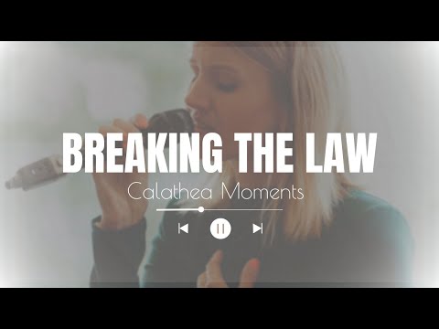 Emeli Sande - Breaking The Law interpretiert by Calathea Moments