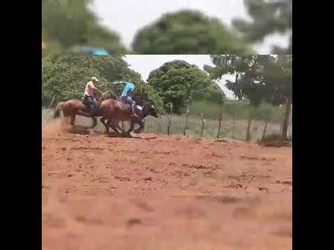 vivendo de Vaquejada 🤞