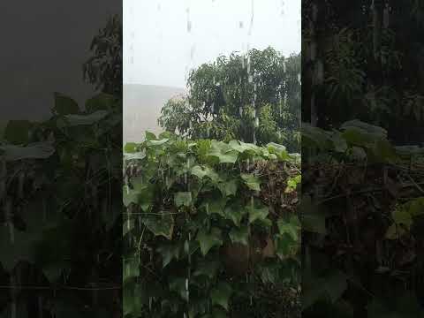 Chuvinha em Minas Gerais - Ervália