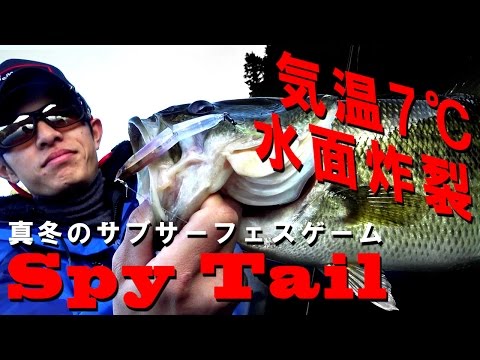 Jackall Spy Tail 70SS 70mm 4.3g POL Lake Oikawa SS