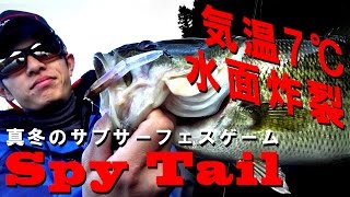 “スパイテール” 真冬のサブサーフェスゲーム