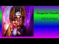 SANGUINE PARADISE - LIL UZI VERT ( AUDIO ) SANGUINE PARADISE - LIL UZI VERT ( AUDIO )