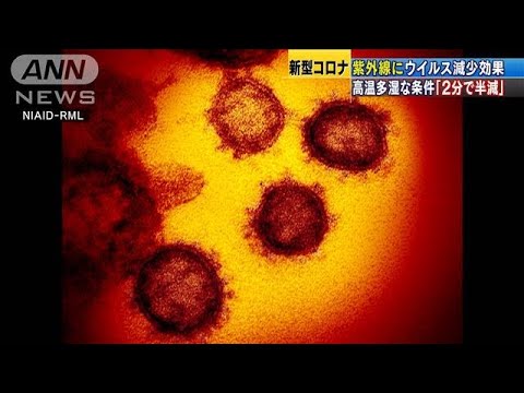 コロナウイルスの影響は決して消えることはない、35年にわたる研究が示す