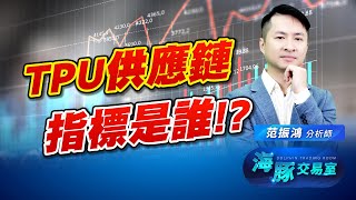 谷歌供應鏈領跑台股! 海豚手握的是哪一檔? 中小型全面復活? (圖)