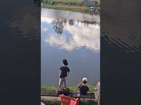 🤠PERTO DE LAFAIETE-MG! É LOGO ALI #LAFAIETEMG #LAFAIETE #CONSELHEIROLAFAIETE