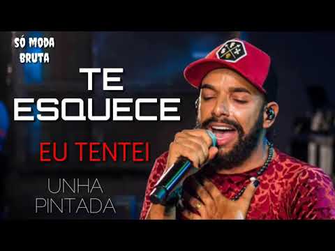 Unha Pintada - Te Esquece Eu Tentei (Música Nova)