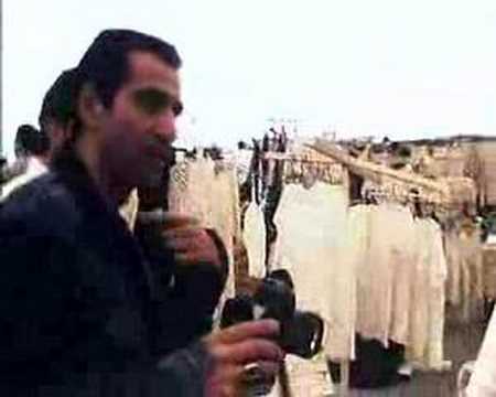 Radiofiera- "Angelina"