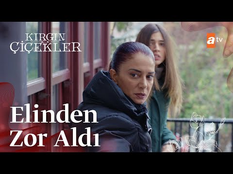 Nazan, Defne'yi kimin elinden kurtarıyor? - Kırgın Çiçekler 70. Bölüm