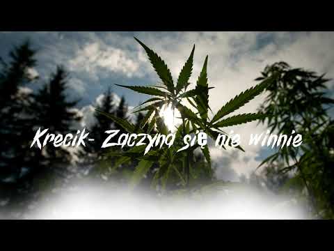 Krecik - Z.S.N | (Official Audio)