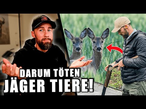 Ich habe TIERE ERSCHOSSEN? - Q&A zu meinem Jagdfilm auf VOX | Robert Marc Lehmann