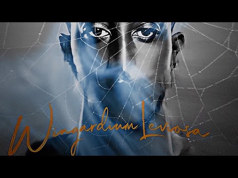 Bekayo - Wingardium Leviosa