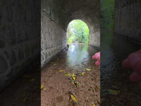 Naturaleza Hermosa En San Rafael, Chalatenango, El Salvador. #elsalvador