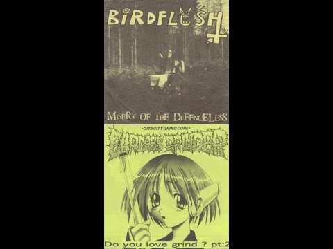 BIRDFLESH/CARCASS GRINDER - Misery of the Defenceless/Do You Love Grind? Pt:2 EP (1999)