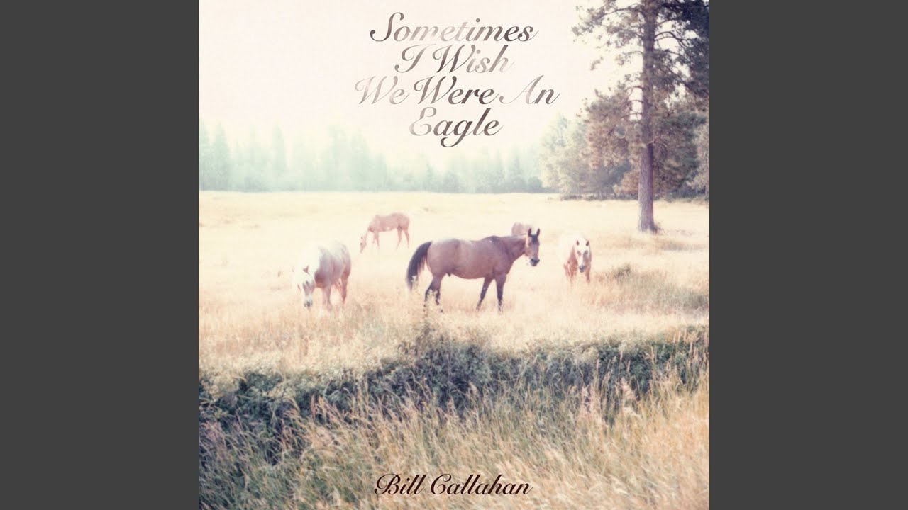 Bill Callahan - Rococo Zephyr