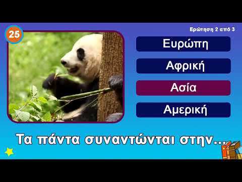Mega Quiz