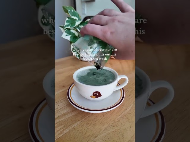 Vídeo relacionado con ANIMAL CROSSING - Mug - 250 ml - Brewster - cardboard pkg