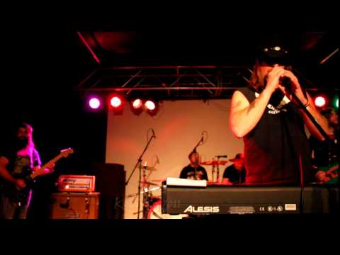 Unkle Matt & the Shitbirdz 