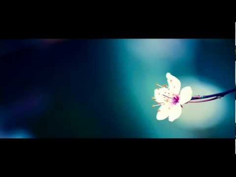 Leteci Odred - Od Prevlake Do Dunava