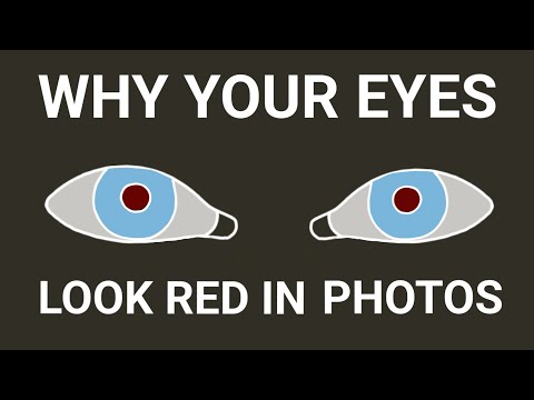 Why Your Eyes Look Red in Photos (ft. Cute Cats)