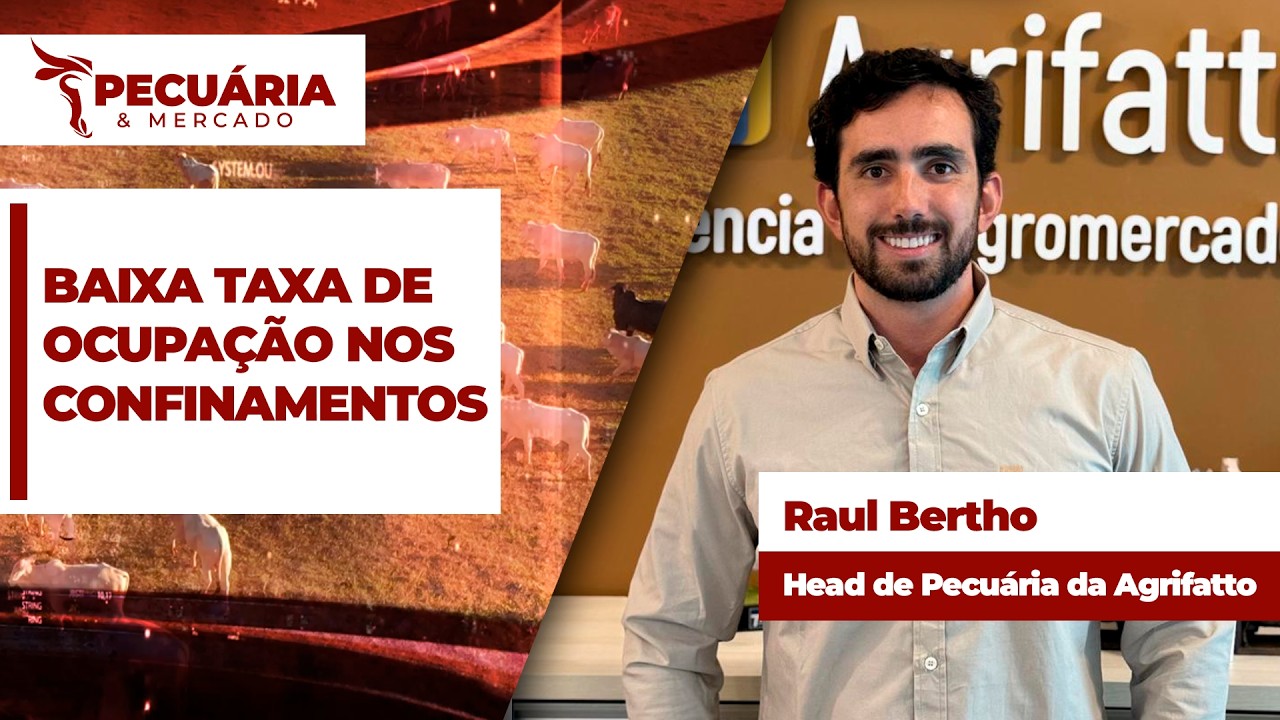 Baixa ocupação nos confinamentos restringe oferta e impulsiona a arroba do boi