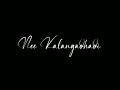 Kannana Kanne Nee Kalangathadi Song Lyrics Black Screen WhatsApp Status Tamil Salmi Editz
