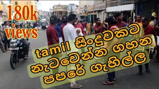 Colombo band tamil papare in perahera