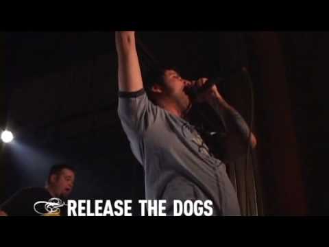 boy sets fire - release the dogs