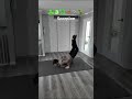 How Different Animals Breakdance