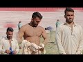 Mud Wrestler Shan Pehalwan How To Wear Langout Easy Method Motivation