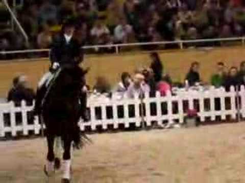 Royal Angel - Hengtsschau Aachen 2007