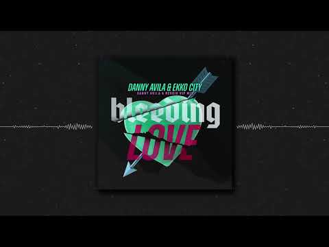 Danny Avila & Ekko City - Bleeding Love (Danny Avila & Reggio VIP)