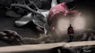 ●•●• Riccardo Fogli ~ Ma Quale Amore •●•●