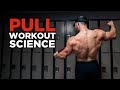 The Most Effective Science-Based PULL Workout (Back, Biceps, Rear Delts) | Science Applied Ep 5