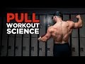 The Most Effective Science-Based PULL Workout (Back, Biceps, Rear Delts)  | Science Applied Ep 5